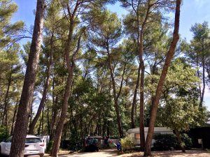 Camping Nature Bouches du Rhône