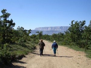 devancon_promenade_sur_place